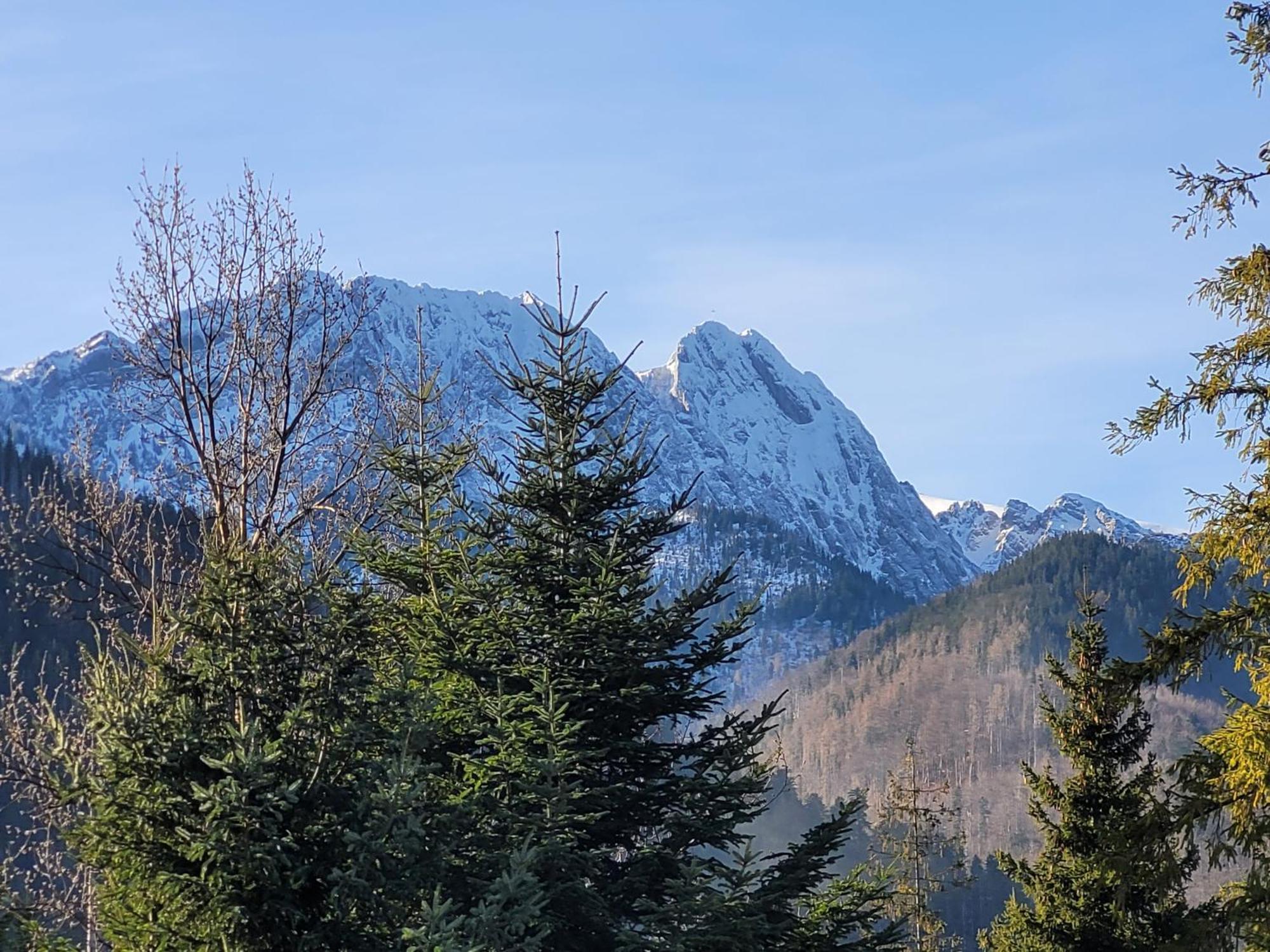 Pokoje Goscinne "Tecza" Zakopane Exterior photo